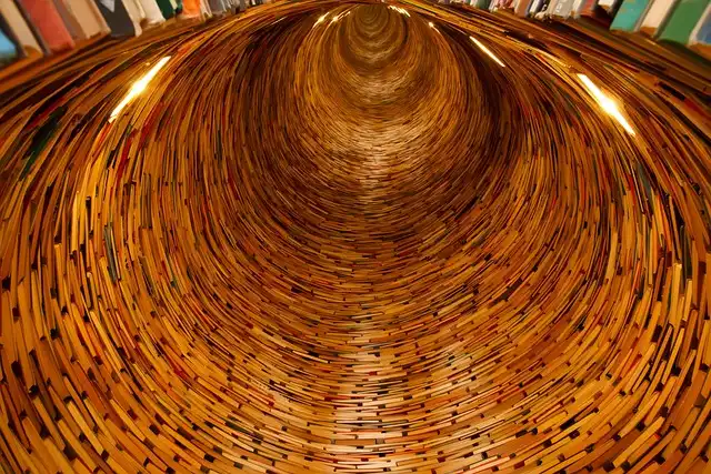 PhD Project Under Fire: DEI, Trump, and Diversity in Academia