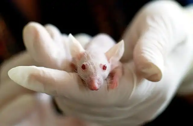 NIH Funding Freeze: Research Grants Threatened