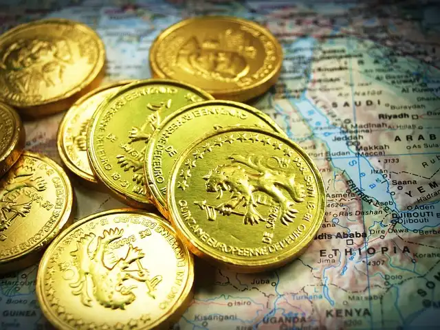Geographic Distribution: Labor, Education, and Market Dynamics