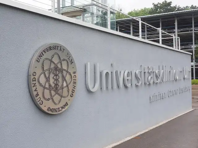 Procurement Agility: Building Institutional Resilience